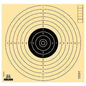 AKAH Luftpistolen-Scheibe 17x17cm